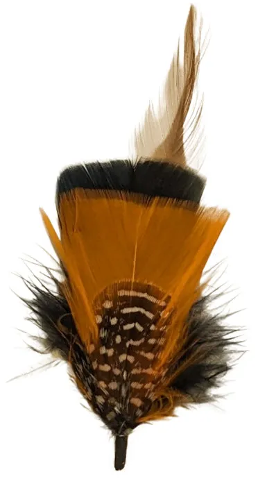 Hat feather