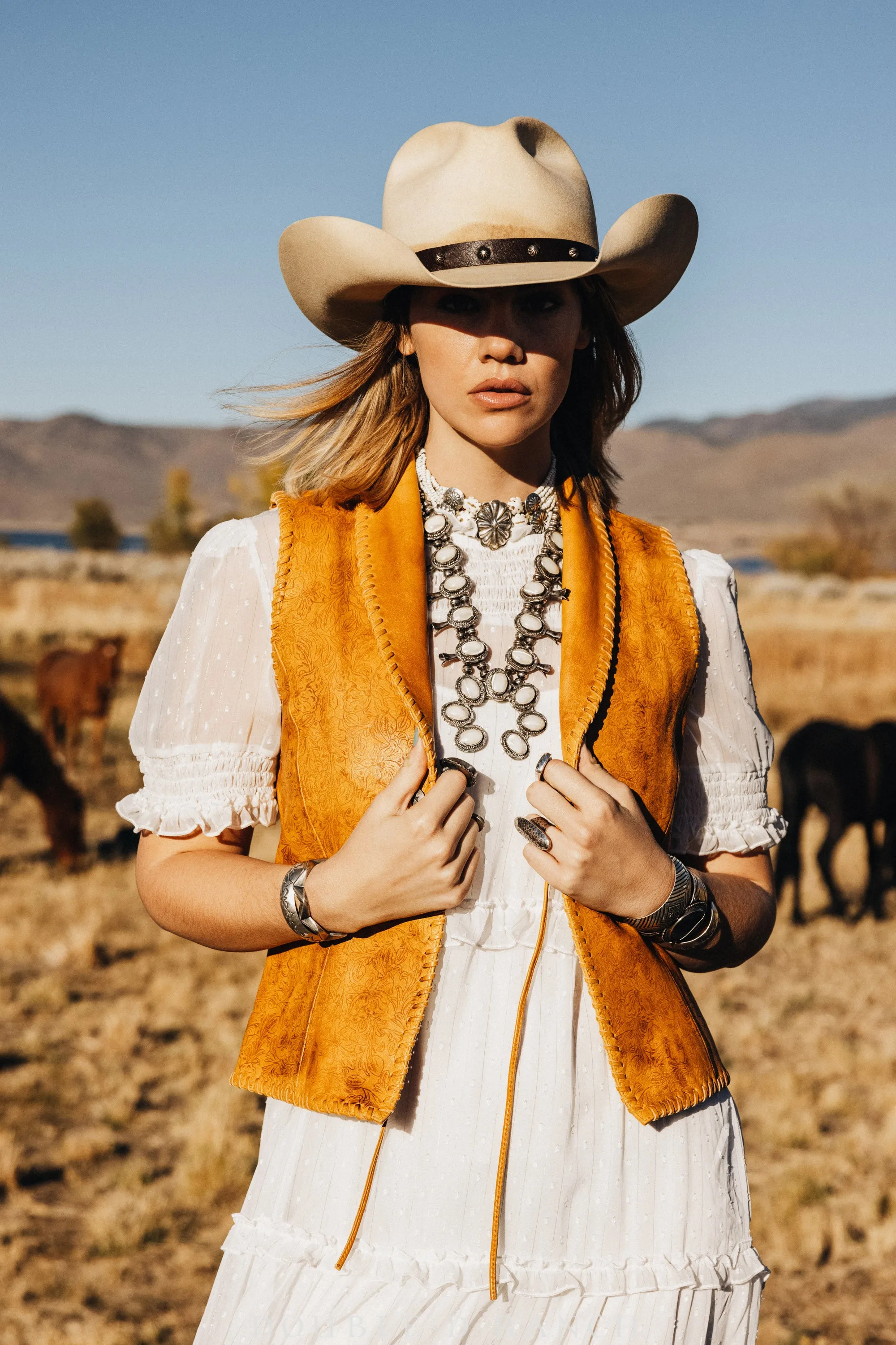 Hat, Wild Horses