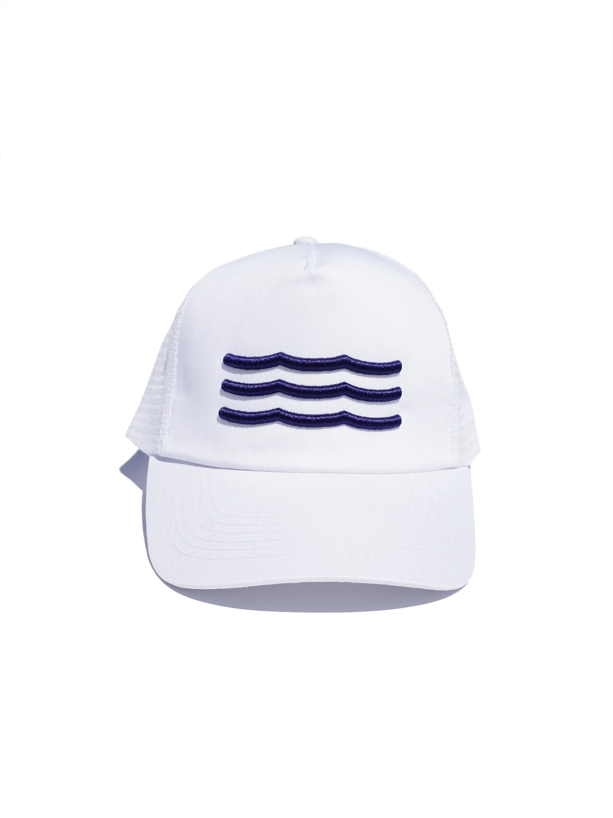 Waves Mesh Back Hat